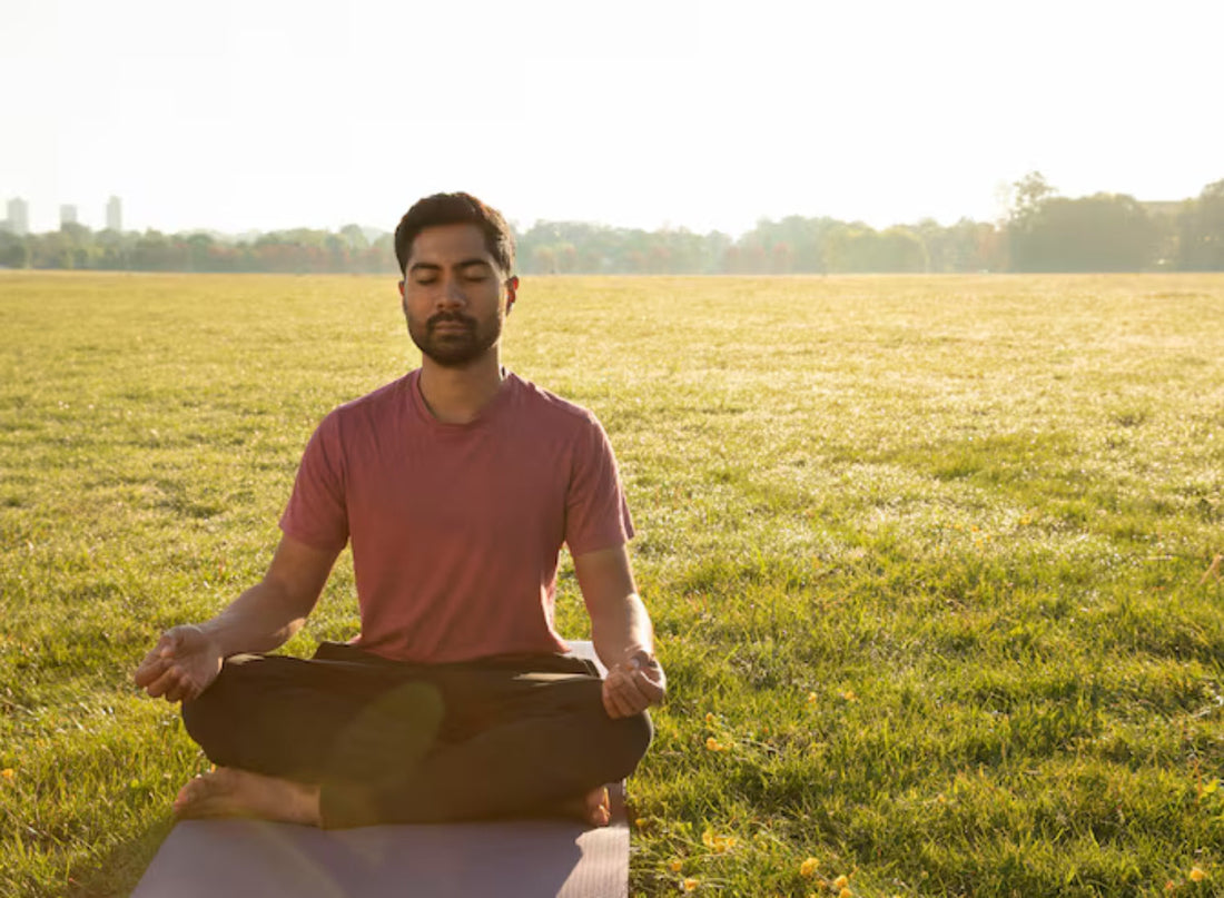 Natural Remedies for Stress, Energy & Immunity: How Ayurveda Can Help You