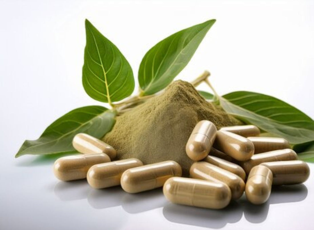 Ashwagandha: The Ancient Herb That Heals Mind, Body & Spirit